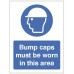 Bump Caps must be Worn in this Area